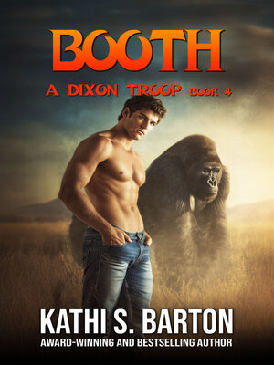 cover image of Booth